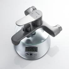 Смеситель для ванны Shevanik S6202T