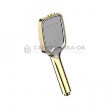 Душевая лейка Ledeme LD002G