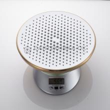 Душевая стойка Rose R3936G