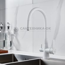 Смеситель для кухни Shevanik S668C