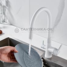 Смеситель для кухни Shevanik S668C