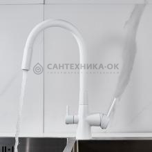 Смеситель для кухни Shevanik S668C