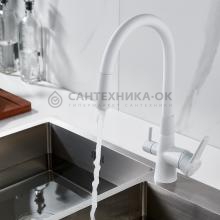 Смеситель для кухни Shevanik S668C