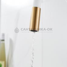 Смеситель для кухни Shevanik S668G