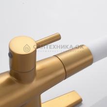 Смеситель для кухни Shevanik S668G