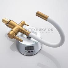 Смеситель для кухни Shevanik S668G