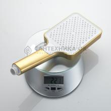 Смеситель для ванны Shevanik S9902G