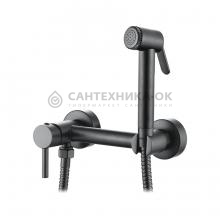Смеситель с гигиеническим душем Ledeme L5398D-6
