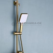 Душевая стойка Shevanik S6136G