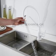 Смеситель для кухни Shevanik S343C-1