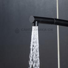 Смеситель для кухни Frap F6096-6