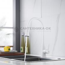 Смеситель для кухни Rose R213C