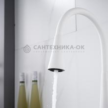 Смеситель для кухни Rose R213C