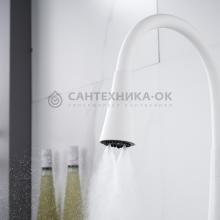Смеситель для кухни Rose R213C
