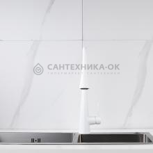 Смеситель для кухни Rose R213C