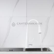 Смеситель для кухни Rose R213C