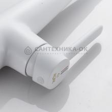Смеситель для кухни Rose R213C