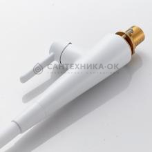 Смеситель для кухни Rose R213C