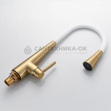 Смеситель для кухни Rose R213G