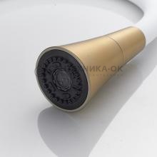 Смеситель для кухни Rose R213G