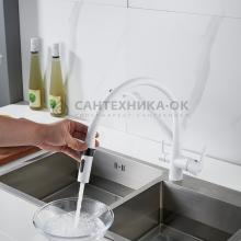 Смеситель для кухни Shevanik S278C
