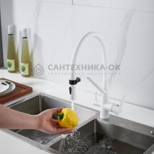 Смеситель для кухни Shevanik S278C