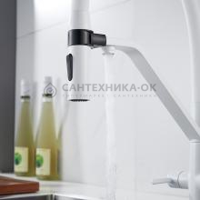Смеситель для кухни Shevanik S278C