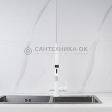 Смеситель для кухни Shevanik S278C