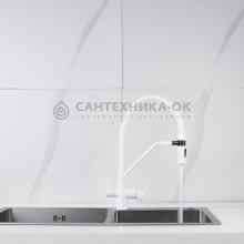 Смеситель для кухни Shevanik S278C
