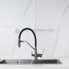 Смеситель для кухни Shevanik S278T