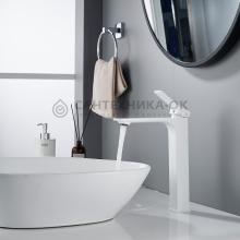 Смеситель для раковины Shevanik S6111C