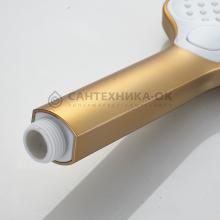 Душевая лейка Shevanik SH40G-1