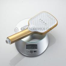 Душевая лейка Shevanik SH40G-1