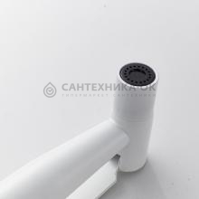 Смеситель с гигиеническим душем Shevanik S107C