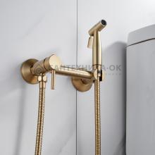 Смеситель с гигиеническим душем Shevanik S107G