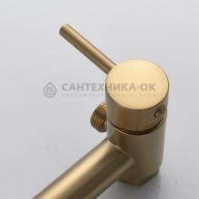 Смеситель с гигиеническим душем Shevanik S107G