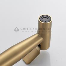Смеситель с гигиеническим душем Shevanik S107G