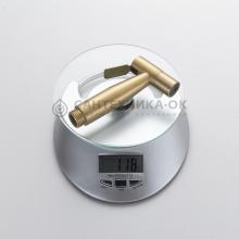 Смеситель с гигиеническим душем Shevanik S107G