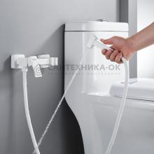 Смеситель с гигиеническим душем Shevanik S137C
