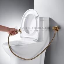 Смеситель с гигиеническим душем Shevanik S147G