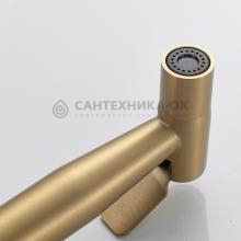 Смеситель с гигиеническим душем Shevanik S147G