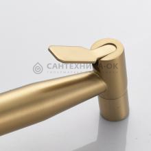 Смеситель с гигиеническим душем Shevanik S147G