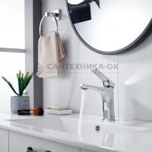 Смеситель для раковины Shevanik S4201