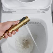 Смеситель с гигиеническим душем Shevanik S4105G-1