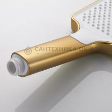 Душевая стойка Shevanik S4226G