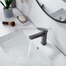 Смеситель для раковины Shevanik S4201T