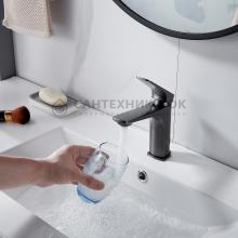 Смеситель для раковины Shevanik S4201T