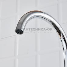 Смеситель для кухни Shevanik S428