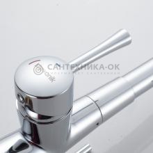 Смеситель для кухни Shevanik S428