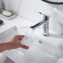 Смеситель для раковины Shevanik S4301